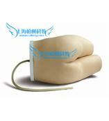 导尿灌肠练习模型 提升临床护理教学的专业化利器